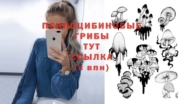 mdpv Семилуки